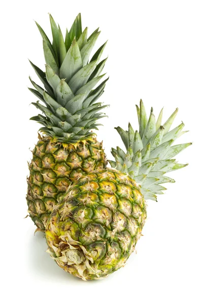 Two whole pineapple fruit on white background — Stock Photo, Image