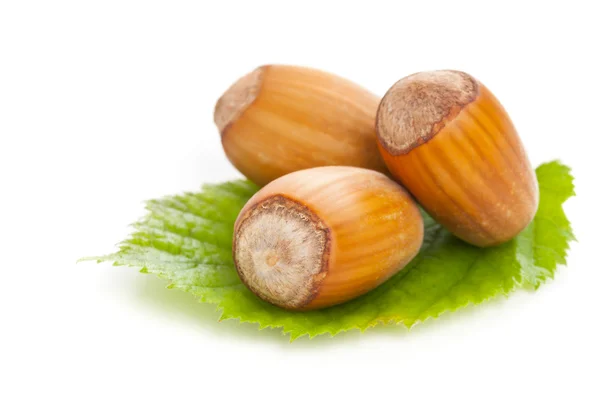 Avellanas con hoja de avellana sobre fondo blanco — Foto de Stock