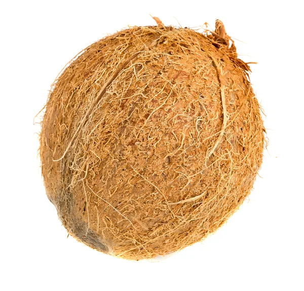Целый кокос изолирован — стоковое фото