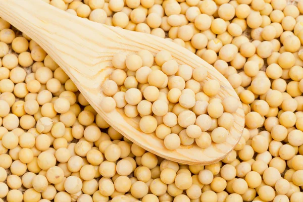 Spoon with dry soybeans — Stock Photo, Image