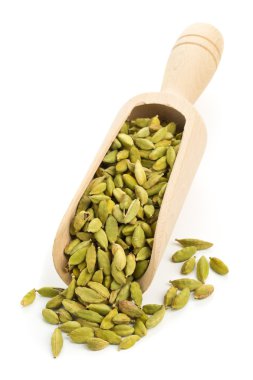 Kakule tohumu Pod Kepçe 