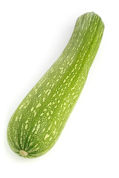 1 つの緑のズッキーニ — ストック写真