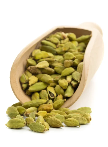 Cardamom seed pods in scoop — Stock Photo, Image