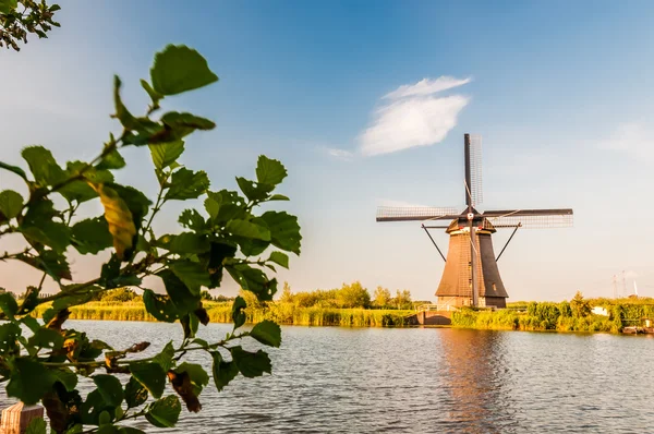 De Nederlandse windmolens historici in de buurt van Rotterdam — Stockfoto