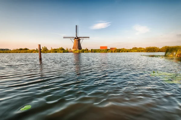 A történészek holland szélmalmok közelében Rotterdam — Stock Fotó