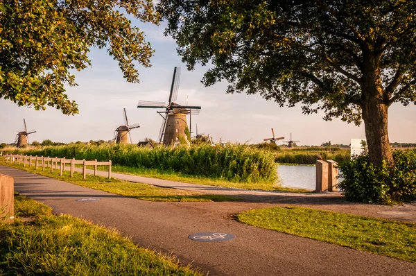 Storici mulini a vento olandesi vicino Rotterdam — Foto Stock