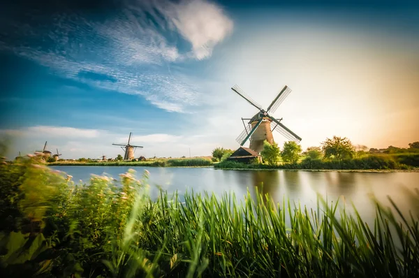 Historiker sehen holländische Windmühlen bei Rotterdam lizenzfreie Stockbilder