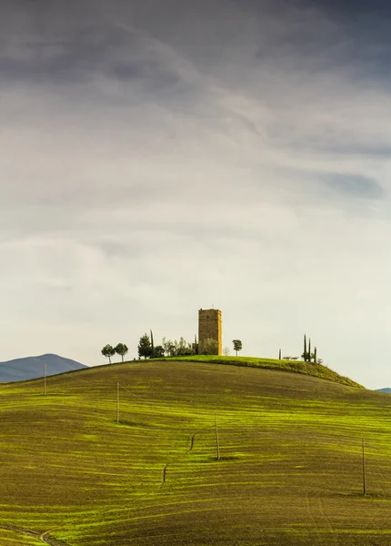 Oude toren in Toscane — Stockfoto