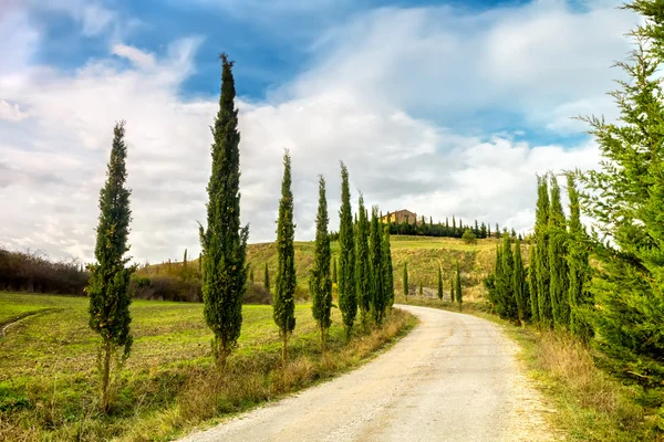 Paesaggio tipico della Toscana — Foto Stock