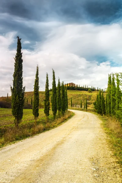 Paesaggio tipico della Toscana — Foto Stock