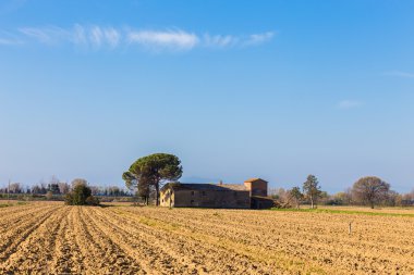 Tuscan kırsalında klasik: Bahar