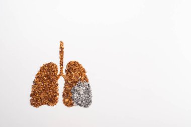 Sigara ve tütün hamleleri şeklinde sigara içilmez.