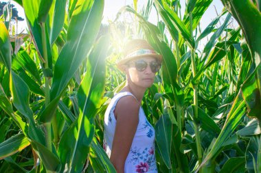 Mısır tarlasında şapkalı ve güneş gözlüklü bir kadın.