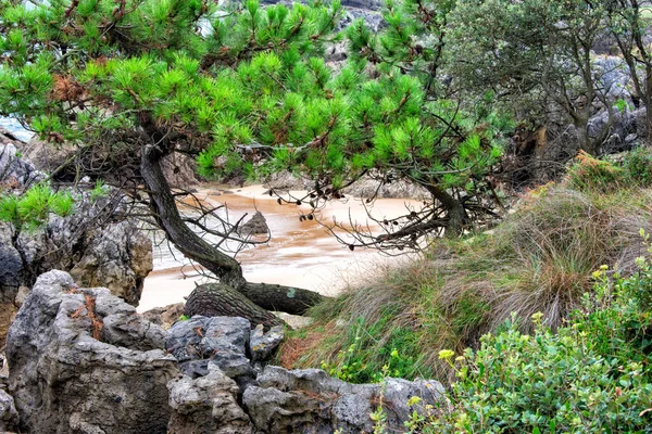 Ωραία Θέα Στη Θάλασσα Πίσω Από Την Παραλία — Φωτογραφία Αρχείου