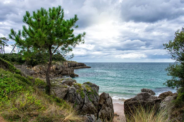 Ein Schöner Blick Auf Das Meer Hinter Dem Strand — Stockfoto