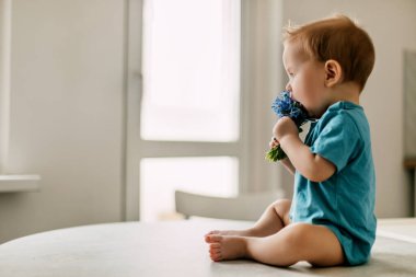 Elinde bir buket çiçekle bir çocuğun bahar portresi. Bebek bir buket mavi kardelen kokluyor