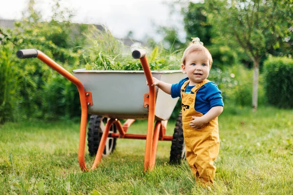 Веселий малюк стоїть поруч з інвалідним візком з скошеною травою в саду . — стокове фото