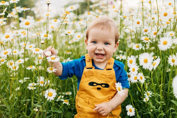Блакитноокий і світловолосий хлопчик стоїть на квітковому лузі з квітами ромашки і посмішками — стокове фото