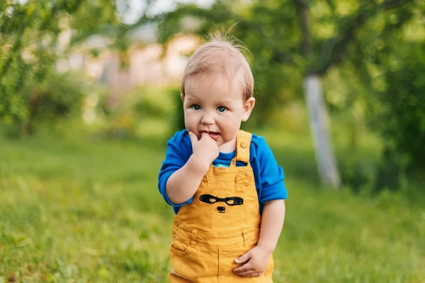Porträt eines lächelnden Jungen in einem Sommerpark oder Garten. Unscharfer Hintergrund, Platz für Text — Stockfoto