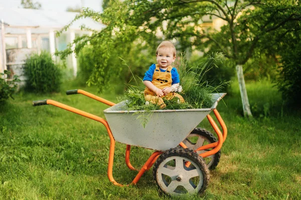 Ein glückliches Kind sitzt in einer Schubkarre auf dem frisch gemähten Gras und lächelt.. — Stockfoto