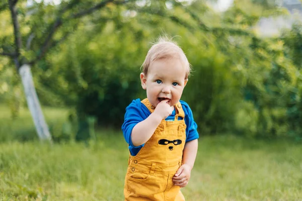 Porträt eines lächelnden Jungen in einem Sommerpark oder Garten. Unscharfer Hintergrund, Platz für Text — Stockfoto