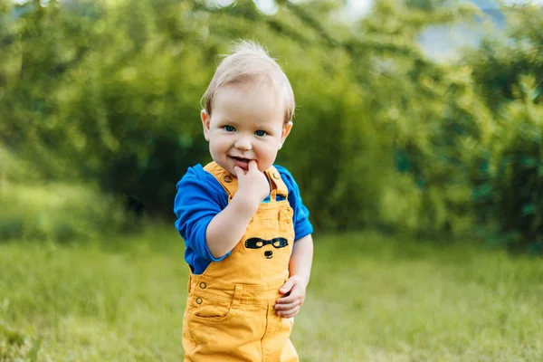 Porträt eines lächelnden Jungen in einem Sommerpark oder Garten. Unscharfer Hintergrund, Platz für Text — Stockfoto