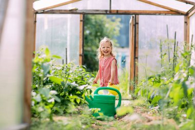 Sulama tenekesi olan neşeli bir bebek seradaki bitkileri sulamaya yardım eder. Çocukluk, anne asistanı, bitki bakımı.