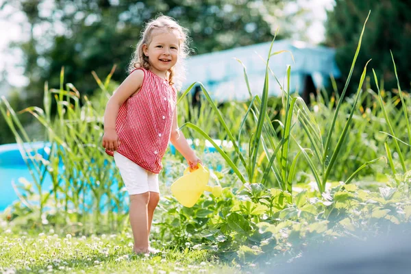 Трохи усміхнена дівчина поливає полуничний кущ в саду з дитячої іграшкової балончики. Дитинство, сонце, літо, садівництво — стокове фото
