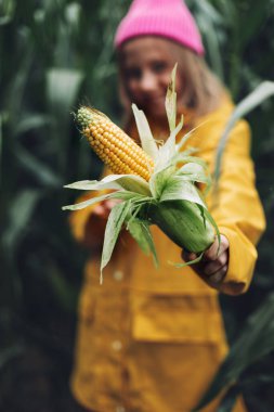 Sarı mısır, bir kızın ellerinde.