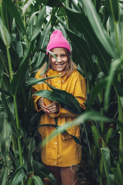 Engraçado menina vestida com uma capa de chuva amarela e um boné rosa quente estraga e morde milho em um milheiral — Fotografia de Stock