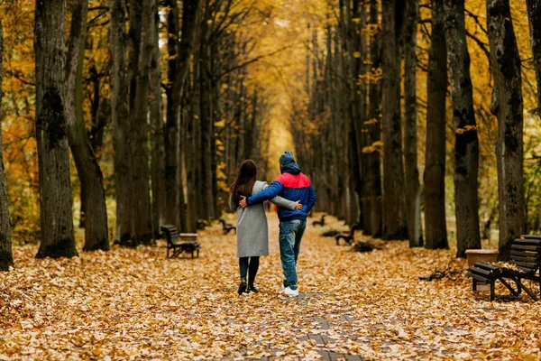Un chico y una chica están caminando por el callejón del parque en otoño. Una cita romántica, un paseo, tiempo en familia. Vista trasera, espacio para texto — Foto de Stock