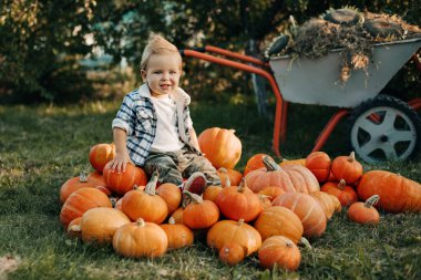 Ekose gömlekli gülümseyen bir çocuk büyük bir portakal kabağı yığınının üzerinde oturuyor. Hasat, sonbahar, Cadılar Bayramı. Metin için boşluk