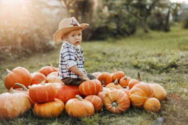 Cadılar Bayramı için kovboy kostümü giymiş bir çocuk balkabağı yığınının üzerinde oturuyor. Tatil, Cadılar Bayramı, bir Amerikan geleneği.