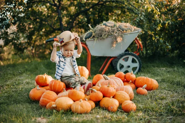 Un piccolo cowboy è seduto su una zucca nel giardino autunnale e sta provando un cappello. Halloween, costume, zucche, tradizione, luogo per il testo — Foto Stock