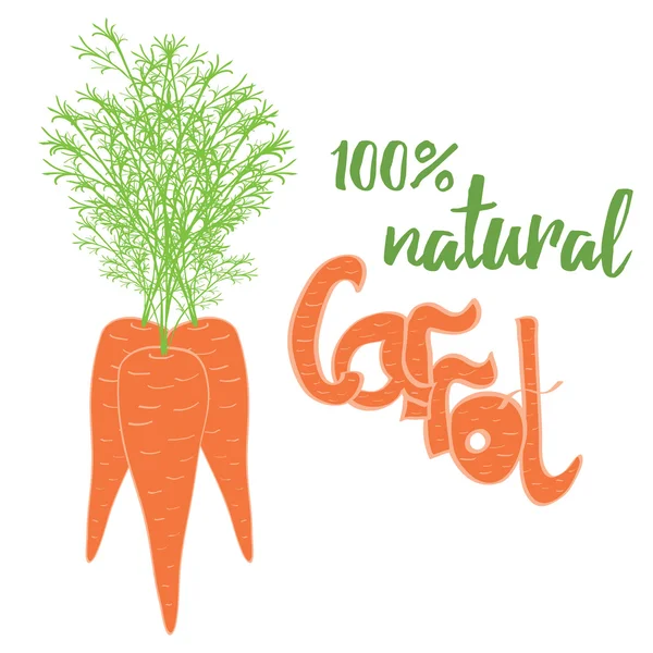 Mano dibujada tres zanahorias con hojas y texto 'Zanahoria Natural' de cerca . — Vector de stock