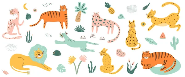 Set di gatti selvatici. Collezione animali Safri. Tigre, leone, leopardo, giaguaro Animali felini africani palma tropicale — Foto Stock