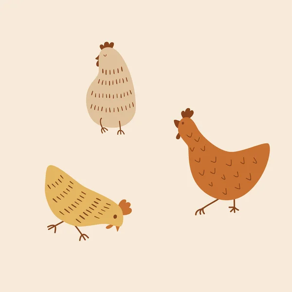 Aranyos csirkés rajzfilm. Aranyos csirkék. Vicces tyúkok és kakasok séta, álló elszigetelt elemek — Stock Fotó