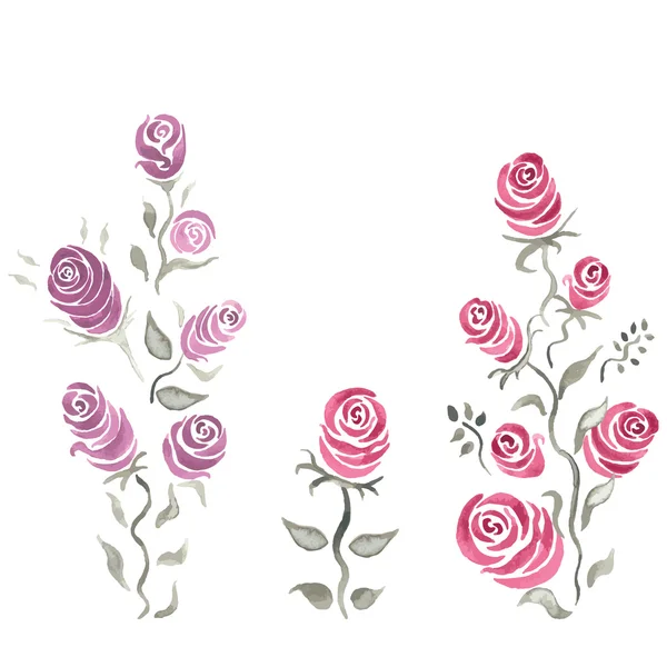 Vector Acuarela Rosa. Ilustración vectorial para tarjetas de felicitación, invitaciones y otros proyectos de impresión y web . — Vector de stock