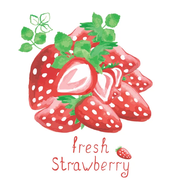 Aquarell Erdbeeren isoliert auf weißem Hintergrund. Vektorillustration. — Stockvektor