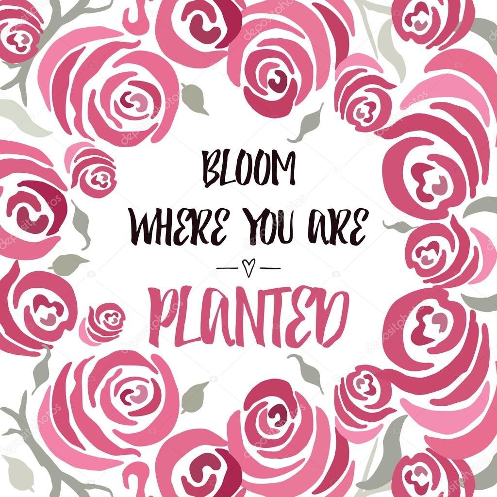 Inspiring quote 'Bloom where you are planted' hand painted brush lettering on the hand painted rose backdrop. Vector concept card for good emotion.