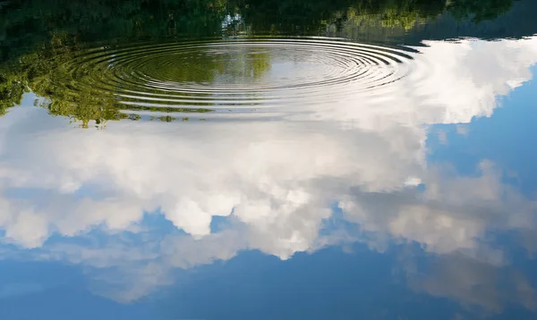 Вид на голубое небо, облака и отблески леса в воде . — стоковое фото