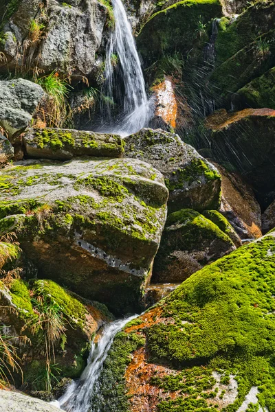 Waterfall — Stock Photo, Image