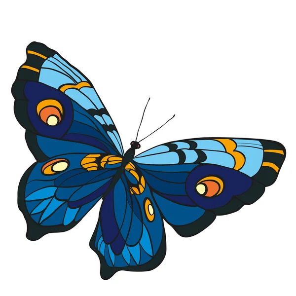 Blue butterfly with open wings in a top vie — Stock Vector