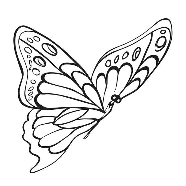 Schöner monochromer Schmetterling — Stockvektor