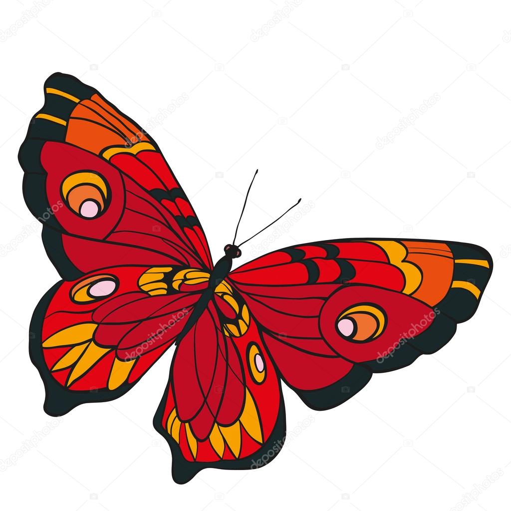 Red butterfly with open wings in a top view