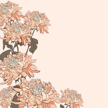 Krizantem bej renkli arka plan üzerinde buket.