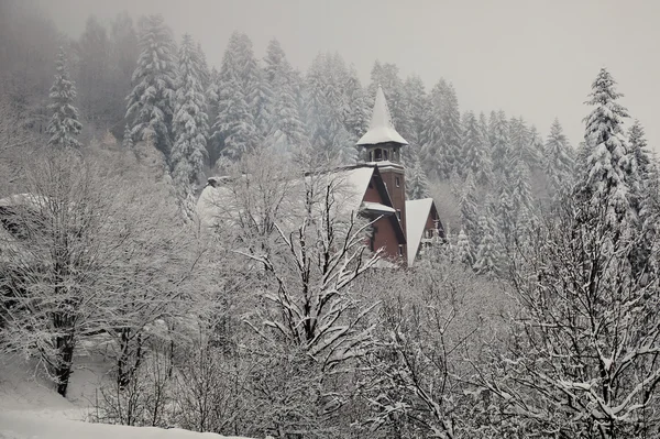 Widok na oascar nieLiguone góry Beskidy — Foto Stock