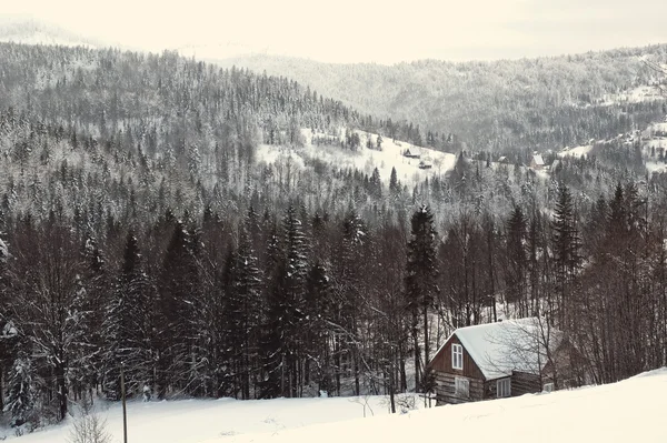 Widok na oascar nieLiguone góry Beskidy — Foto Stock