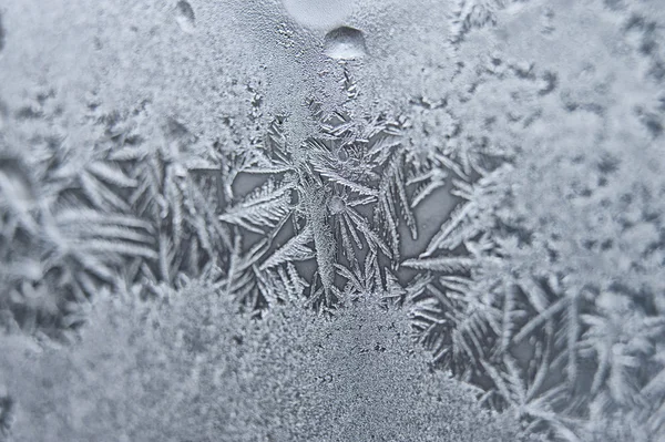 Мороз на склі — стокове фото