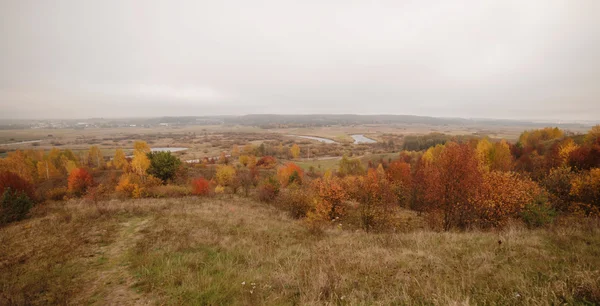 Het landschap van de vallei van de rivier en het bos in de herfst Rechtenvrije Stockafbeeldingen